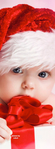  614eed4f9114e5634c5efeedc99989bf (258x700, 186Kb)