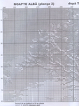  Noapte alba (11) (528x700, 469Kb)