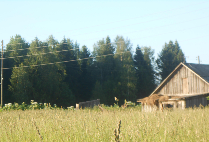 DSCN2073 (700x475, 335Kb)