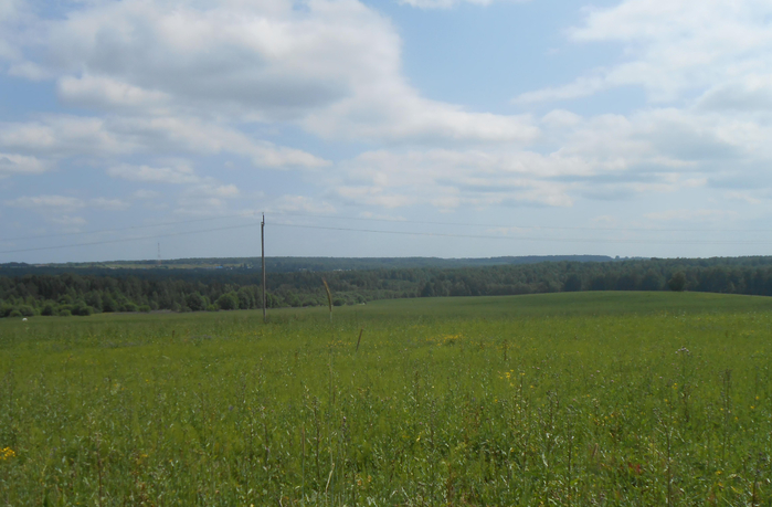 DSCN2122 (700x459, 330Kb)