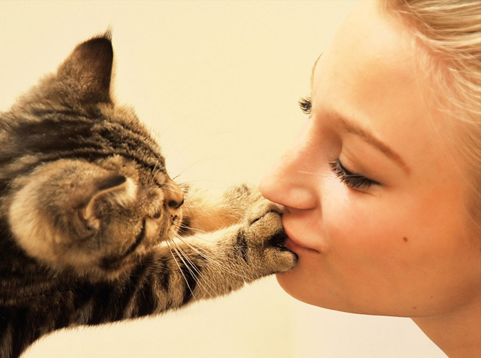 women_and_cat_kitty_face_kitten_cute_paws_700x500_hd-wallpaper-1313153 (700x521, 118Kb)