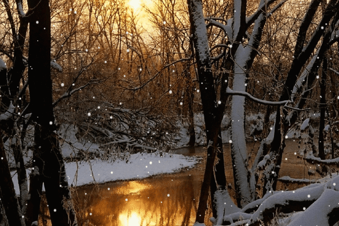 0_114c6d_cb6e933c_orig (700x466, 1331Kb)