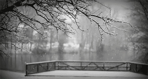 0_114c7a_f2f2cf61_orig (499x265, 629Kb)