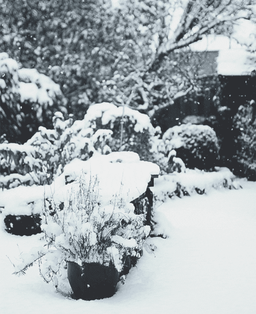0_114c7c_70f0f98f_orig (500x613, 708Kb)