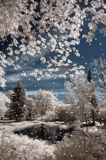 0_114c78_426e3a52_orig (341x512, 716Kb)