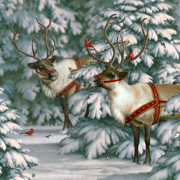 118898759_108052946_9f56f03fa89a (600x600, 360Kb)