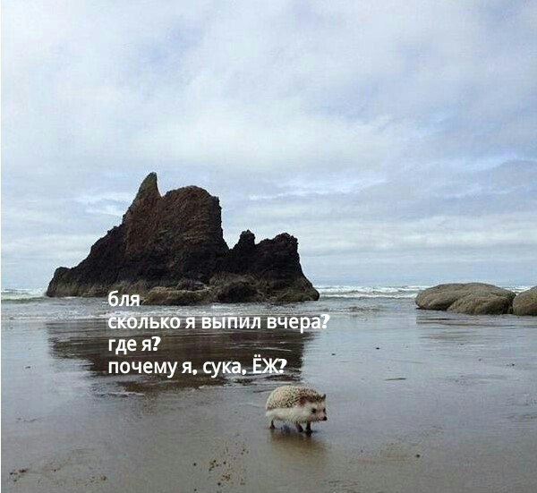 .  (600x551, 55Kb)