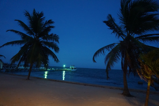 3734746_tumblr_npscqr4Qlv1u0akxlo1_540 (540x361, 55Kb)
