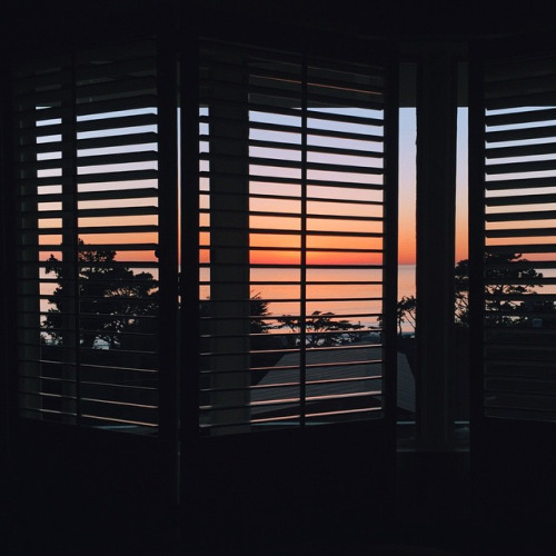 3734746_tumblr_nktr2xEiCD1qzleu4o1_500 (500x500, 64Kb)