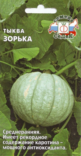 zorka (261x500, 181Kb)