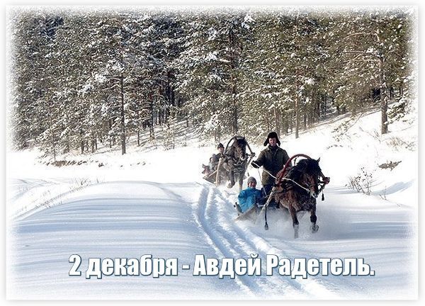 http://img0.liveinternet.ru/images/attach/c/9/126/675/126675008_2dekabrya__Avdey_Radetel.jpg