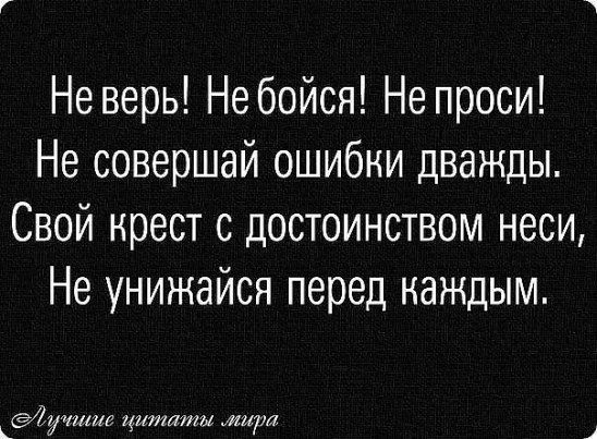 Дефицит львов не повод ценить шакалов картинки