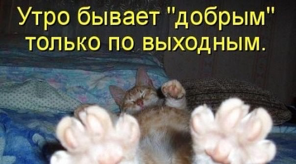 image (604x335, 169Kb)