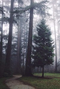 lhQnObWcbYs (200x296, 53Kb)