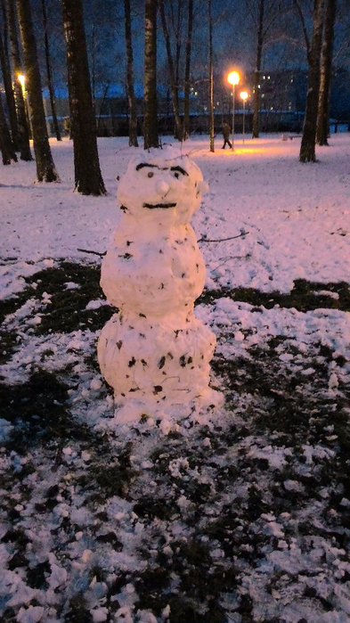 P_20151213_161113 (393x700, 355Kb)