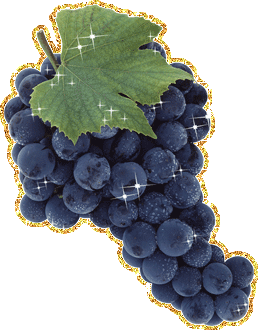 5160421_vinograd (258x330, 70Kb)