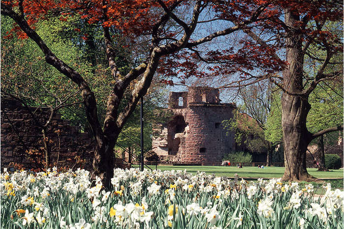 Schloss-Turm-Cowin (900x666, 218Kb)