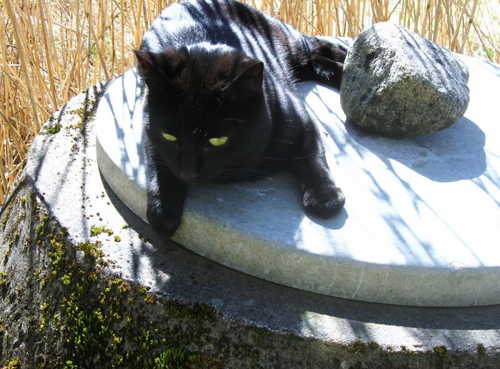 o spring 020 (700x517, 436Kb)