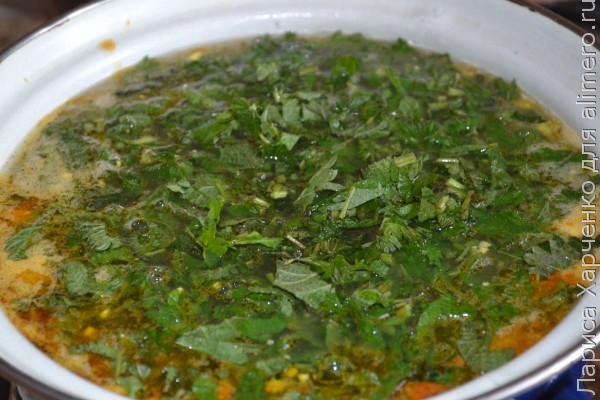 Зеленый борщ с крапивой и яйцом рецепт с фото пошагово