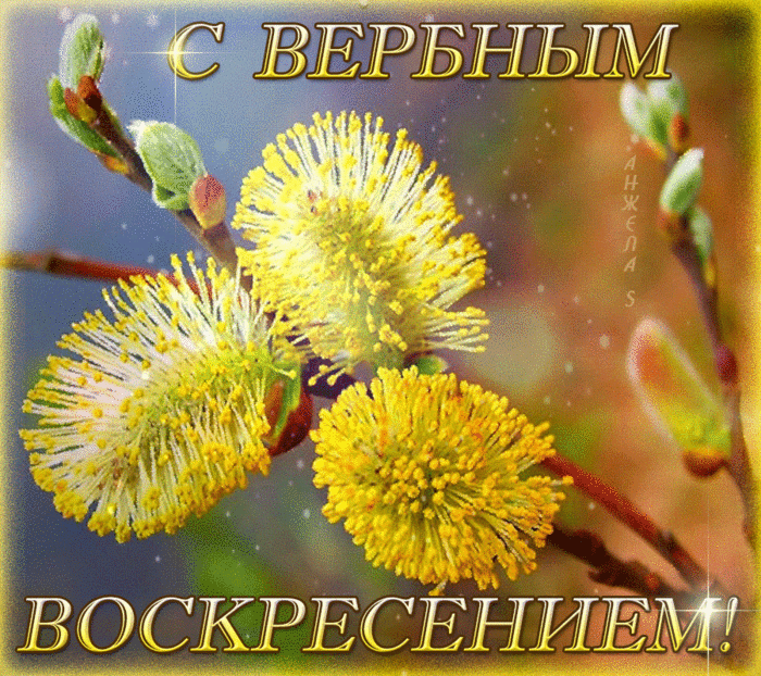 0_18c214_961a9b3b_orig (1) (700x622, 3303Kb)