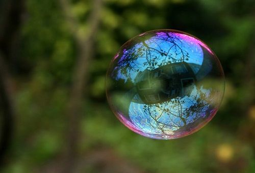 5817945_Milnie_pyziri (500x340, 21Kb)
