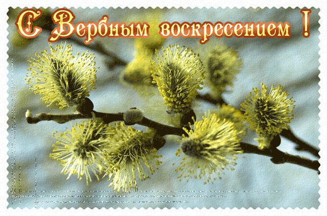 5276173_23154854_i8855nn (640x423, 158Kb)