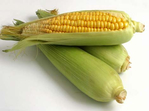  1267217446_sweet-corn (470x350, 60Kb)