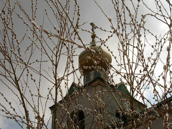 verbnoe-voskresenie-pozdravleniya-5[1] (600x450, 335Kb)