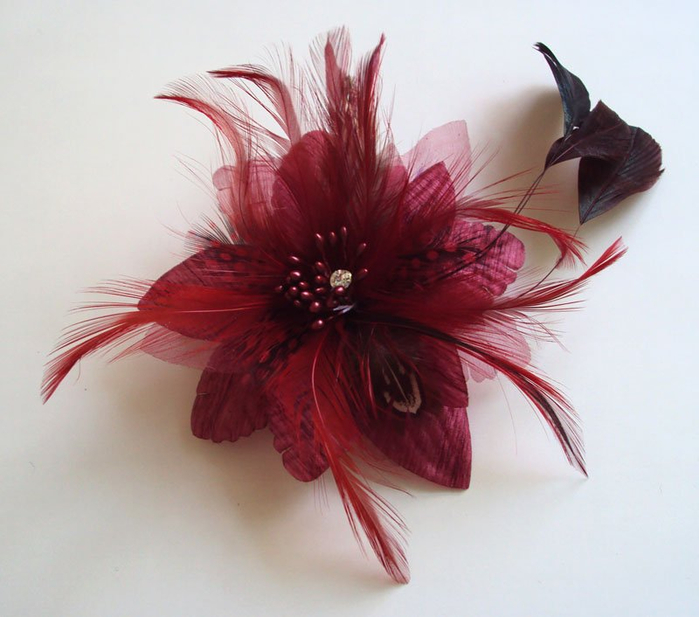 Free-shipping-NEW-font-b-feather-b-font-fashion-Brooch-or-font-b-Hair-b-font (700x617, 311Kb)