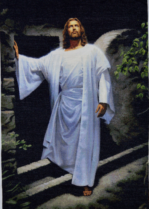 DSC_0460 (498x700, 500Kb)