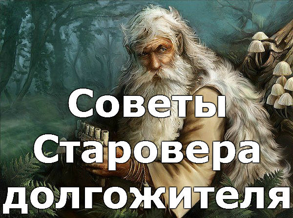 image.. (600x448, 108Kb)