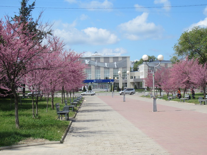 IMG_0987 (700x525, 122Kb)