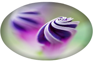 4617818_9 (300x200, 119Kb)