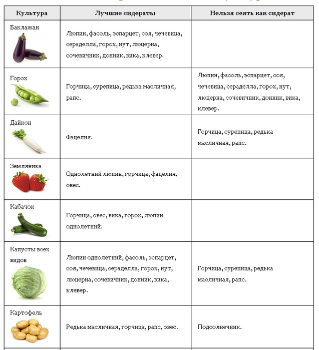 Типы севооборотов овощных культур