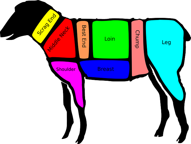 diagram-british-sheep-chart-cut-beef-parts-meat (640x483, 79Kb)