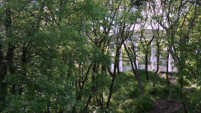 DSC04417 (700x393, 517Kb)