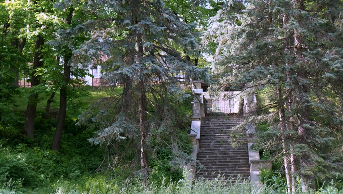 DSC04424 (700x395, 507Kb)