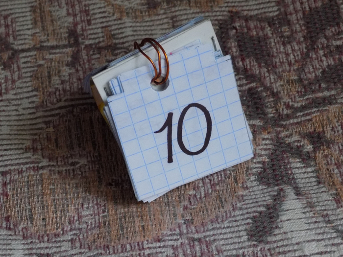 DSCN3991 (700x525, 399Kb)