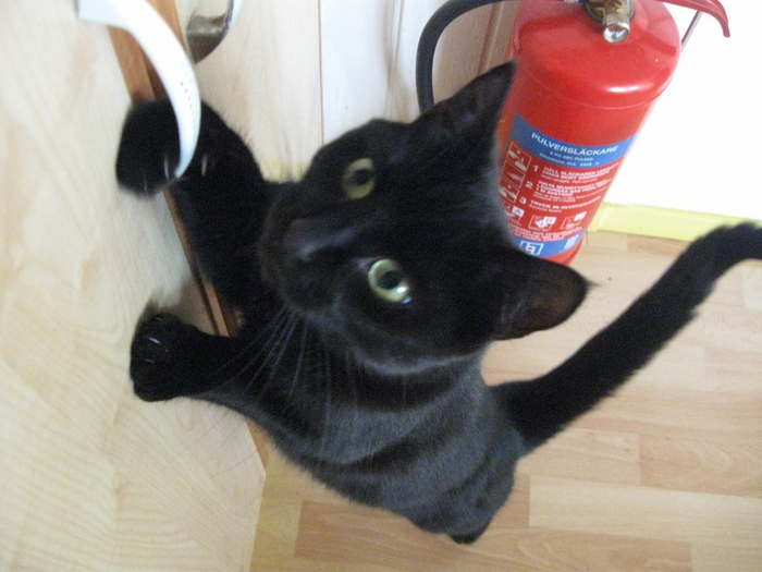 v spring 061 (700x525, 312Kb)