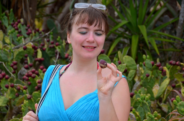 4150718_DSC_0025 (700x463, 231Kb)