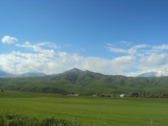 DSC04201 (700x525, 389Kb)