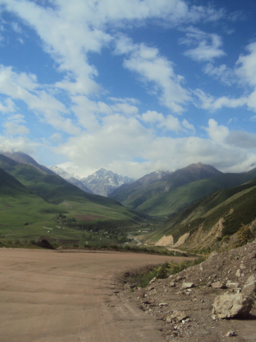 DSC04218 (525x700, 437Kb)