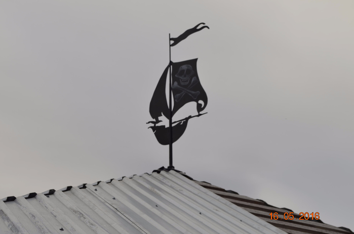 _DSC0222 (700x463, 109Kb)