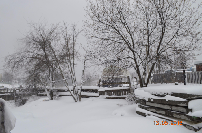 _DSC0187 (700x463, 309Kb)