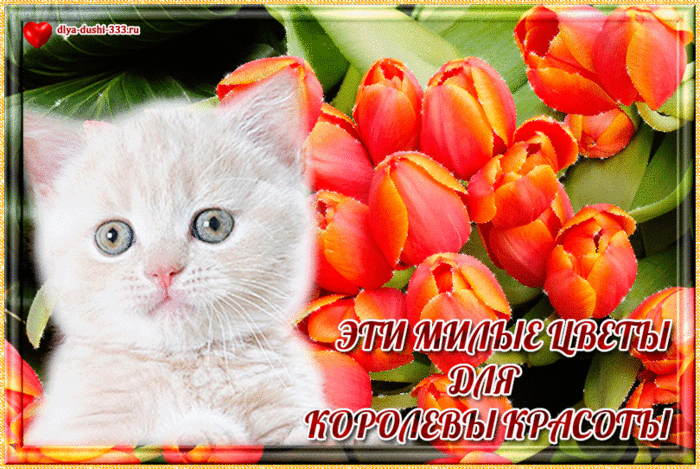 Открытки королевы