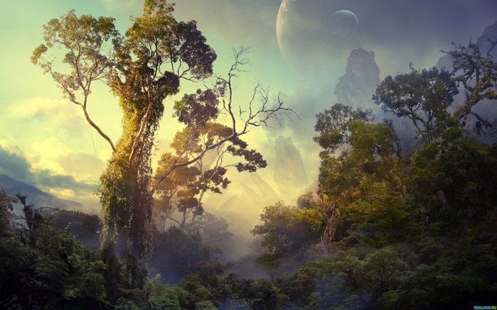 1289555426 (700x437, 62Kb)