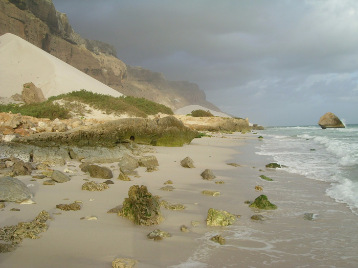 949_Socotra_island_nature (7) (700x525, 348Kb)