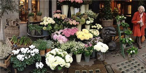 Остановка цветочный магазин