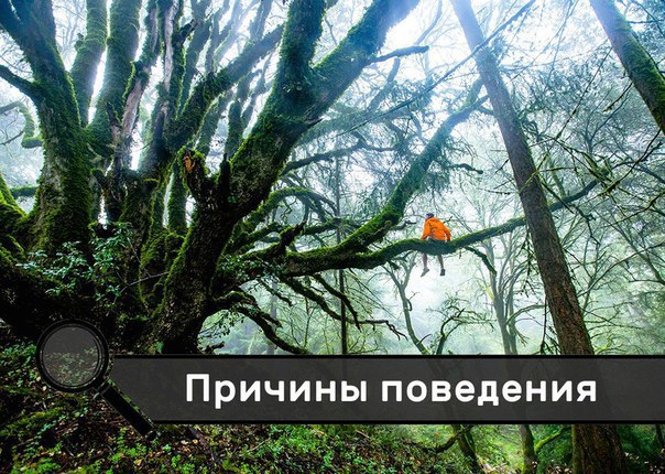 . (604x430, 119Kb)