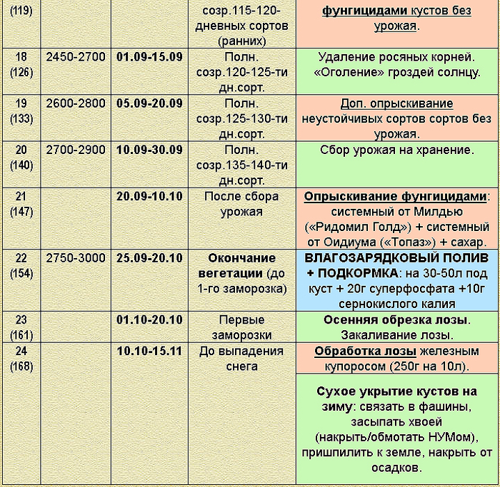 календарь виноградника